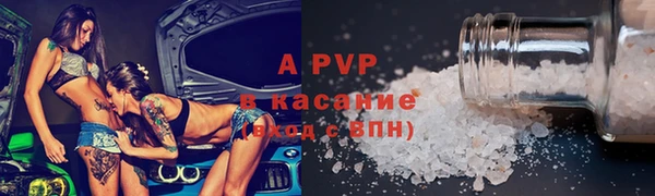 spice Каменка