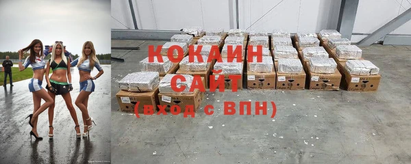 индика Каменск-Шахтинский