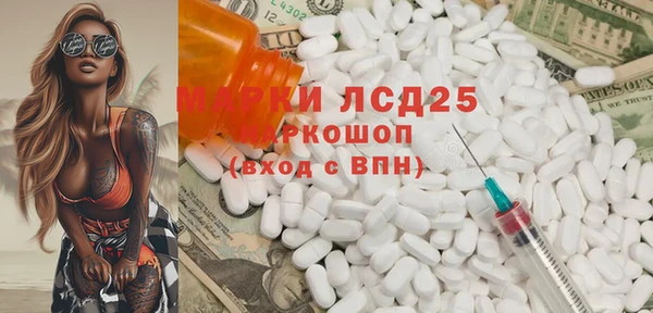 spice Каменка