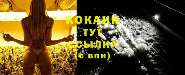 индика Каменск-Шахтинский