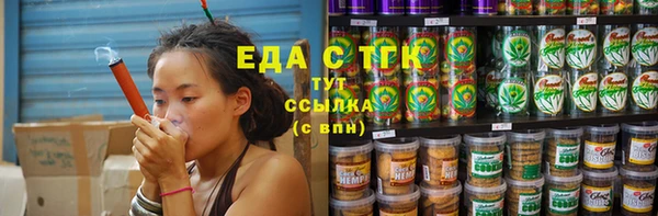 индика Каменск-Шахтинский