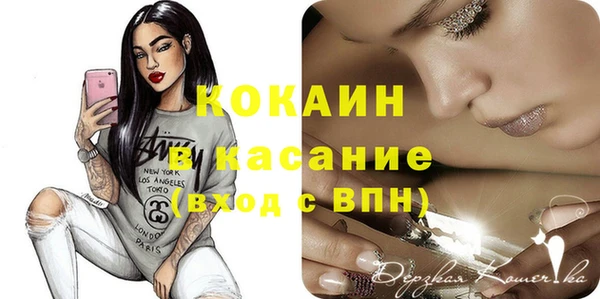 spice Каменка